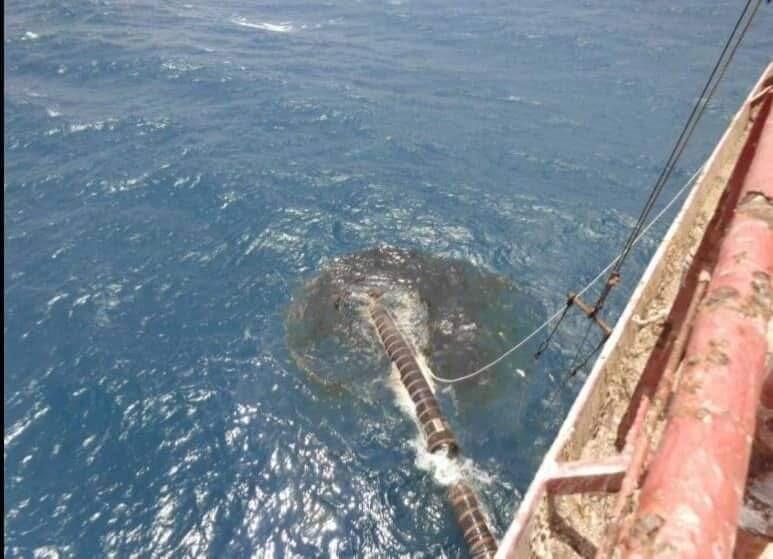 FSO Safer: Bom Waktu Bagi Kehidupan Di Perairan Laut Merah Dan Sekitarnya