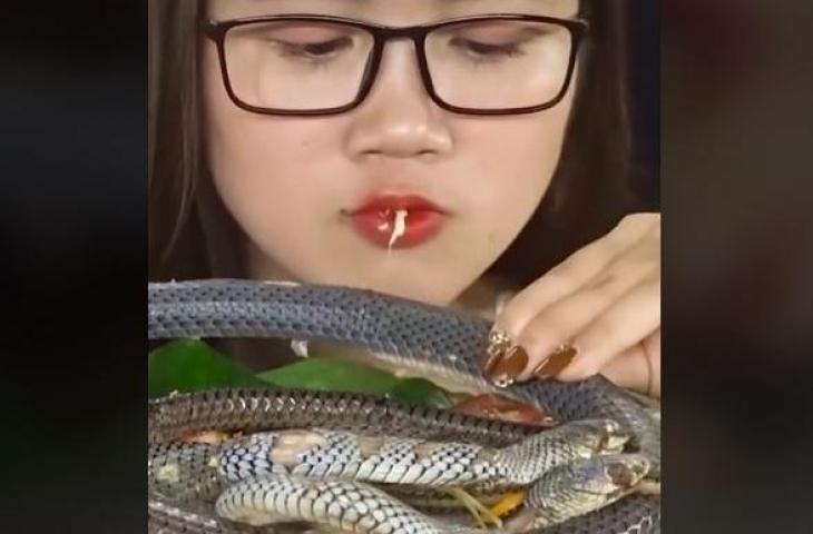 Pakai Lalapan, Viral Video Cewek Makan Ular Bikin Ngeri Warganet