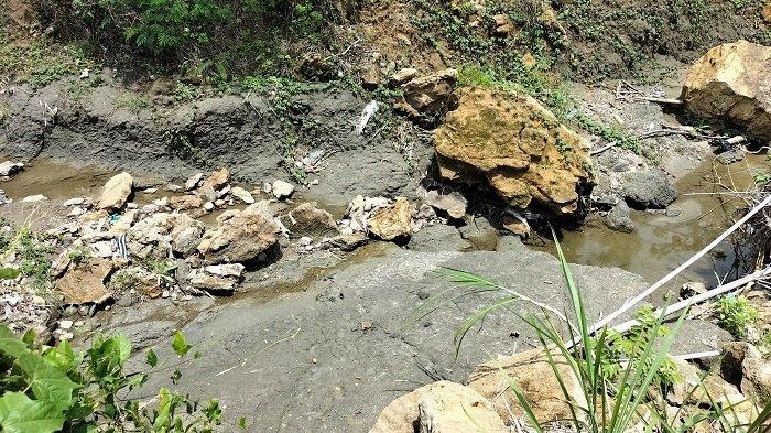 Pernah Ada Samudera di Sangiran Sragen, Dulu Dihuni Hewan Laut Raksasa