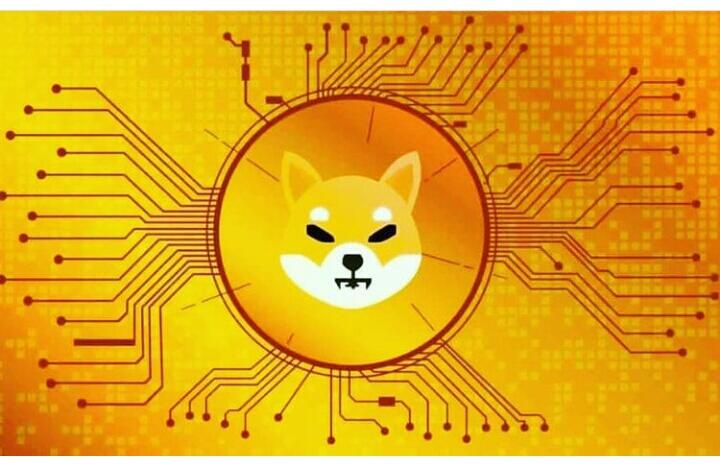 What is the future of the Shiba Inu Cryptocurrency Coin