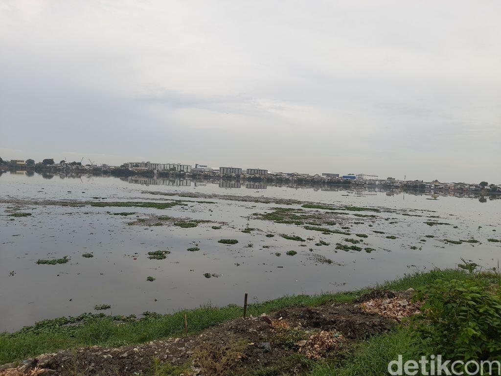 Waduk Pluit Selatan Masih Kotor, DLH Janji Bersihkan