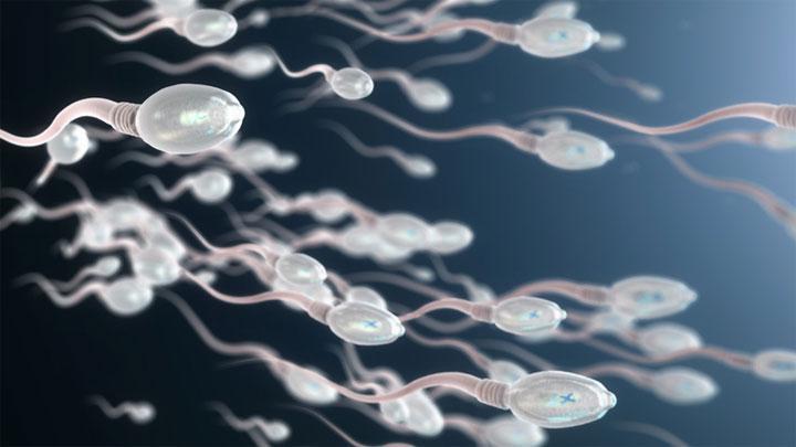 Virus Corona Ditemukan dalam Sperma Penyintas Covid-19 Indonesia