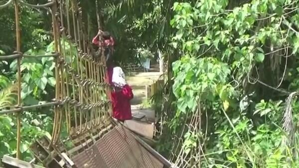 Jembatan Rusak Parah, Pelajar Jambi Bergantungan di Tali demi Bisa Sekolah