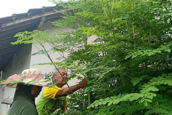 Anak-Anak Usia Minimal 2 Tahun Bisa Minum Weight Herba