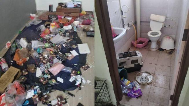 Viral Rumah Kontrakan Super Kotor Ada Bangkai Kucing, Bikin Publik Bergidik