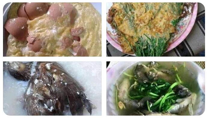 6 Menu Masakan Istri Yang Bikin Mertua Menyalahkan Anaknya Salah Cari Menantu