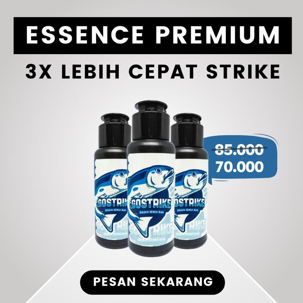 Trik dan teknik akurat memancing ikan kakap putih dengan essen go strike
