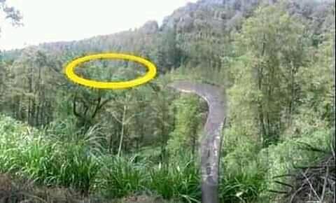 Hayo Coba Tebak: 7 Foto Ilusi Optik Ini Pasti Buat Kamu Bingung Sejenak 