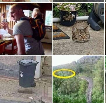 Hayo Coba Tebak: 7 Foto Ilusi Optik Ini Pasti Buat Kamu Bingung Sejenak 
