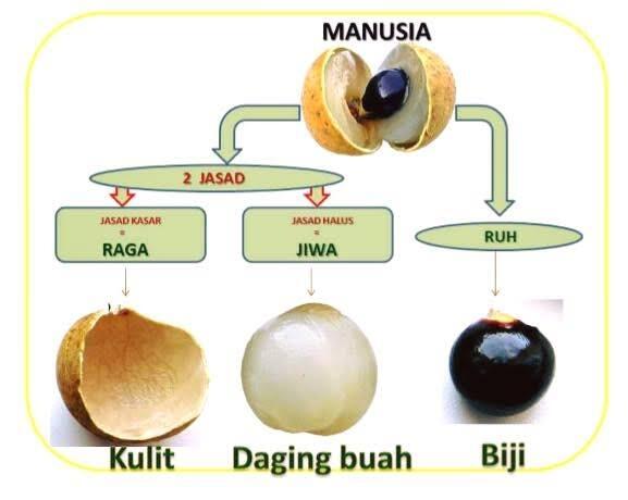 Ruh Dan Jiwa Manusia Apakah Sama?