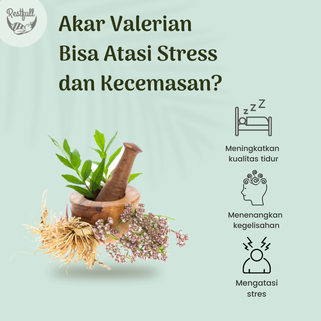 Cara Praktis Atasi Stres dan Anxiety dengan Herbal Valerian