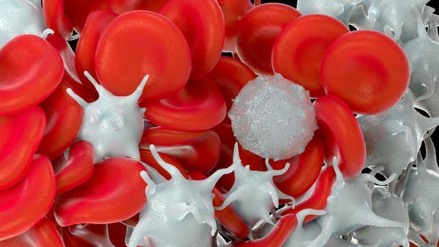 Ternyata Sel Darah Putih Sangat Berperan Didalam Tubuh Kita, Gak Percaya?