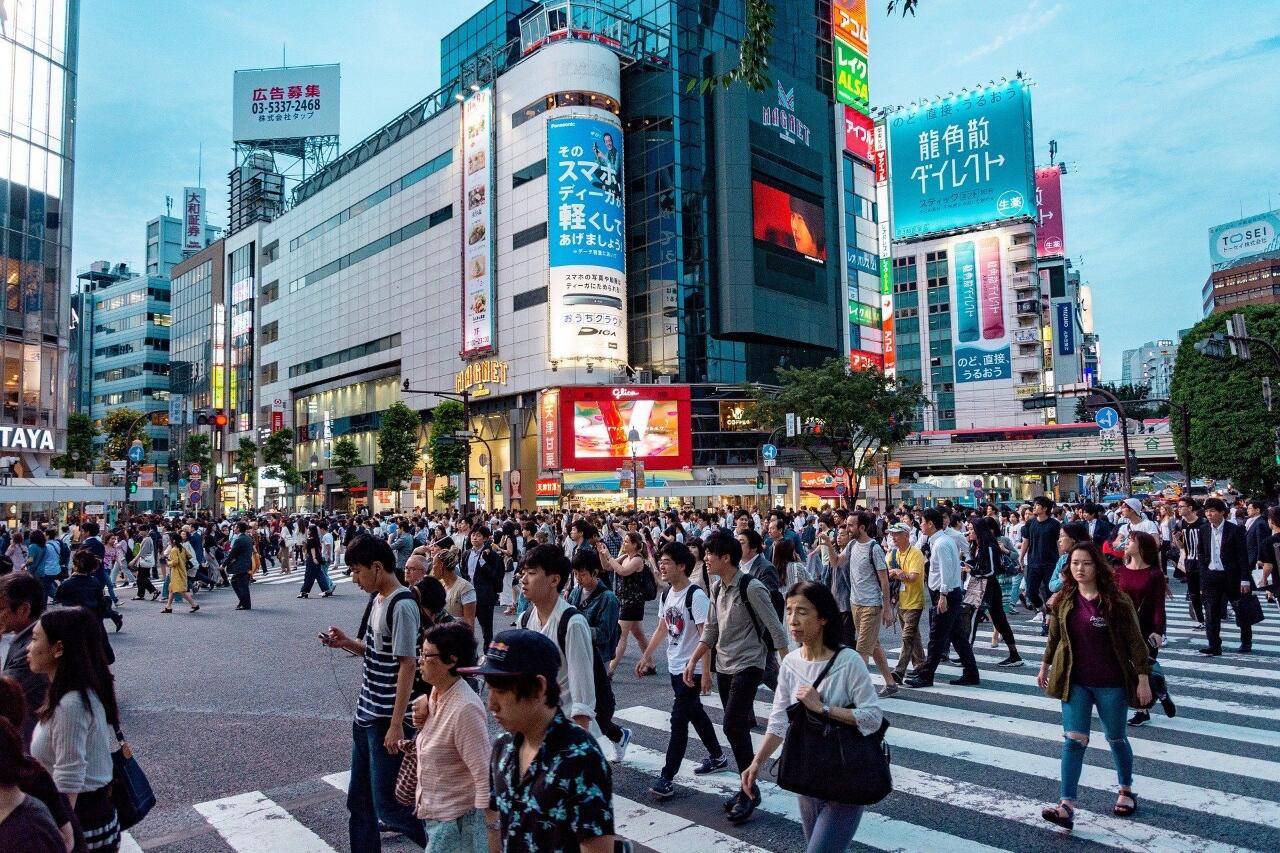 Pelatihan Bahasa Jepang dan Job Magang Pertanian Dibuka Program Tokute Ginou