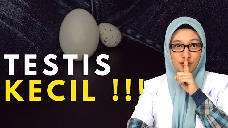 Testis Kecil, Apa Penyebabnya Ya Apakah Berbahaya?