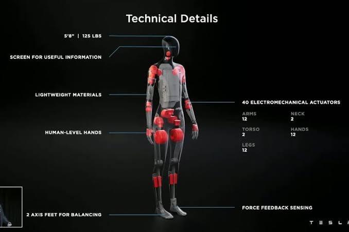 Tesla Bot, Membuat Manusia Dijajah Robot?