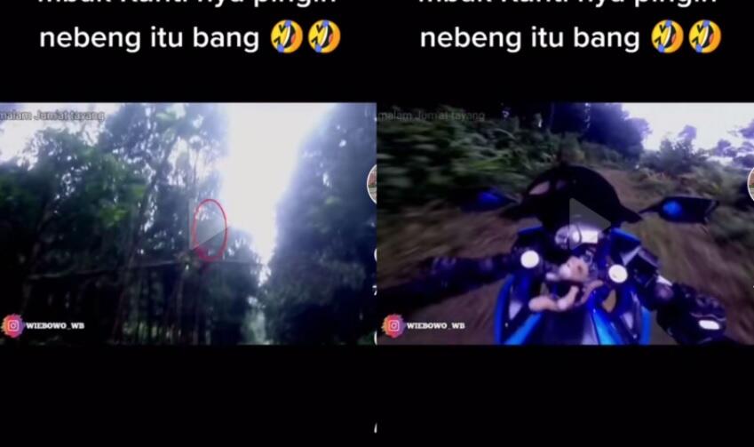 Viral! Pemotor Kabur saat Lihat Makhluk Mirip Kuntilanak Merah, Ini Wujudnya!