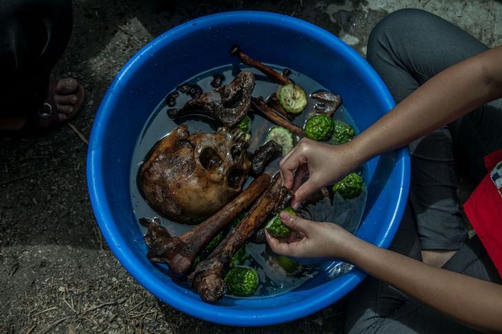 Tradisi Mangokal Holi Suku Batak Toba: Upacara Adat Kematian