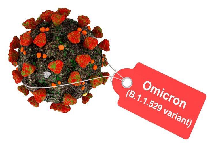Varian Omicron Menyerang, Apakah WFH Akan Kembali Diterapkan?