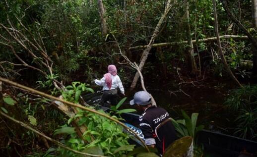 Dian Rossana Anggaraini, Ajak Masyarakat Lestarikan Flora di Pulau Bangka Belitung 