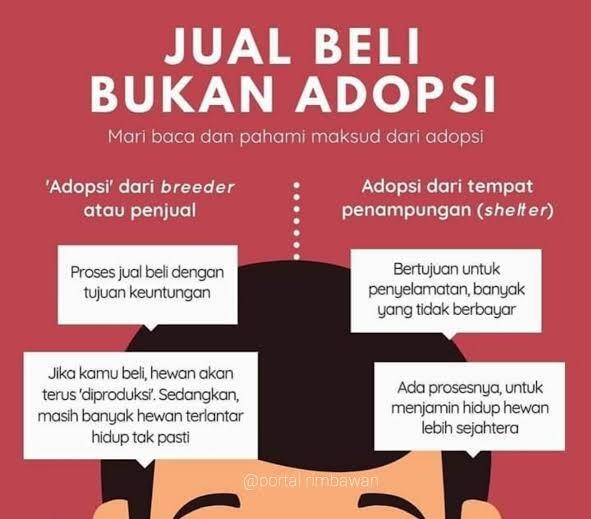 Kenapa Di Forum Hewan Ada Ucapan A1, A2, A3 Dst, Apa Yang Sedang Terjadi?