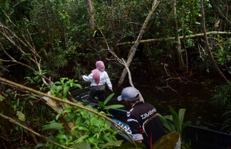 Dian Rossana Anggaraini, Ajak Masyarakat Lestarikan Flora di Pulau Bangka Belitung 