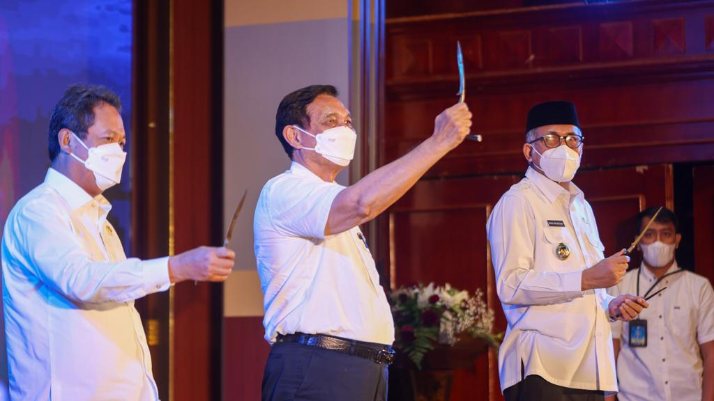 Luhut: WNA UK, Norwegia, dan Denmark Dilarang Masuk Indonesia