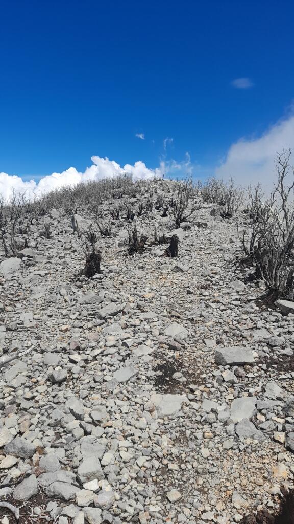 Pendakian Gunung Sindoro Via Alang Alang Sewu Dan Kenangan Indahnya