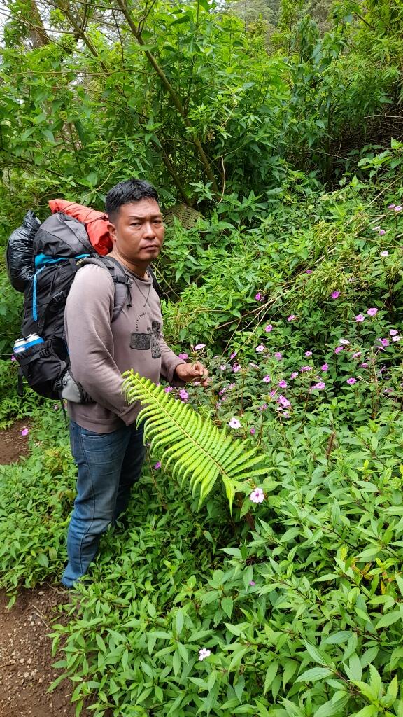 Pendakian Gunung Sindoro Via Alang Alang Sewu Dan Kenangan Indahnya