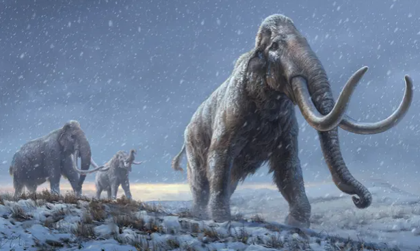  5 Fosil Mammoth Berusia 220.000 Tahun Ditemukan Di Costwolds, UK