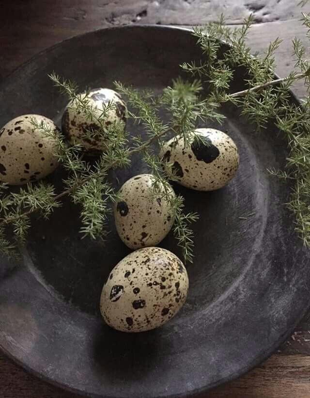 Resep Bihun Mudah Murah Meriah, Tumis Bihun Telur Puyuh Cabai Rawit