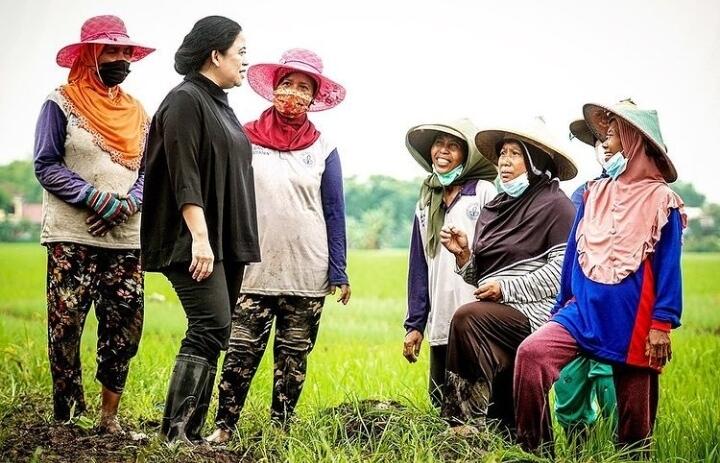 Ikut Tanam Bawang, Puan Maharani Dengarkan Keluhan Petani Nganjuk