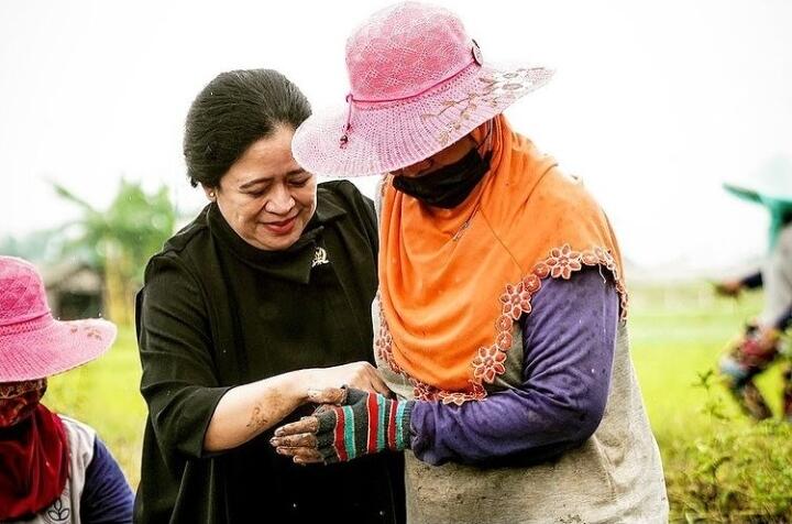 Ikut Tanam Bawang, Puan Maharani Dengarkan Keluhan Petani Nganjuk