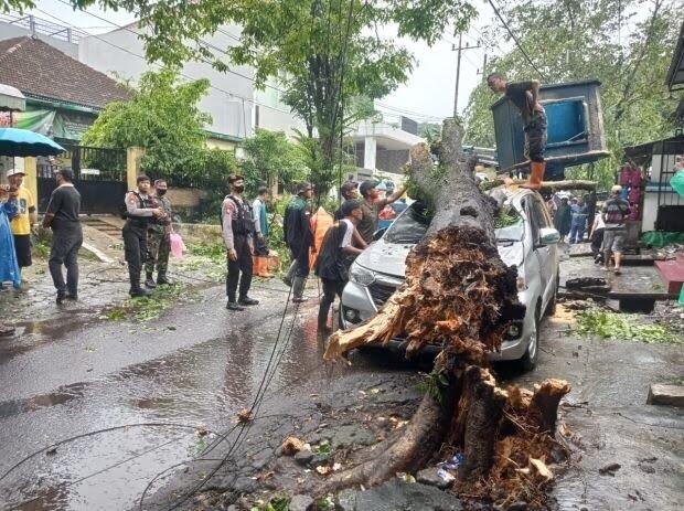Kota Malang Diterjang Hujan Es dan Badai, Pohon Tumbang Timpa Mobil