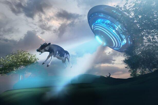 Rumor UFO Semakin Gencar, Begitu Banyak Saksi Yang Menyaksikan Tapi Tidak Punya Bukti