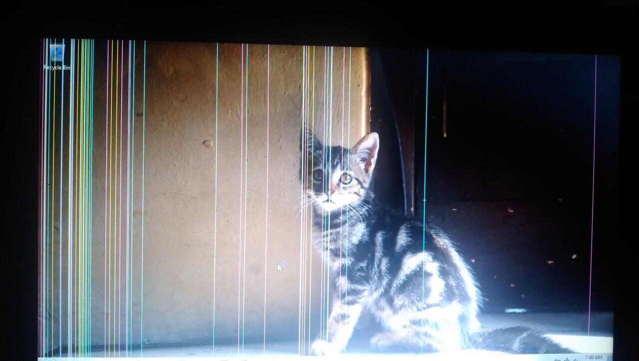 Layar Bergaris Pada Monitor Laptop