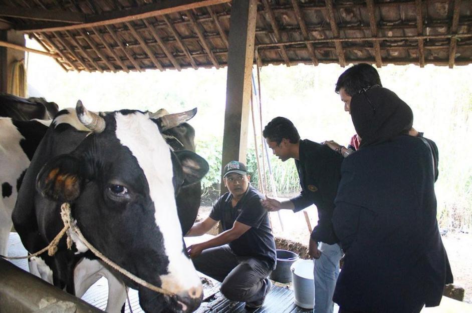 Desa Wisata Pujon Kidul di Era Pariwisata 4.0