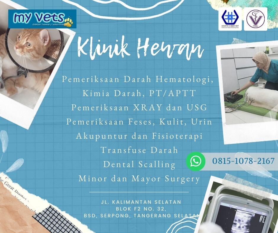 Pet Care