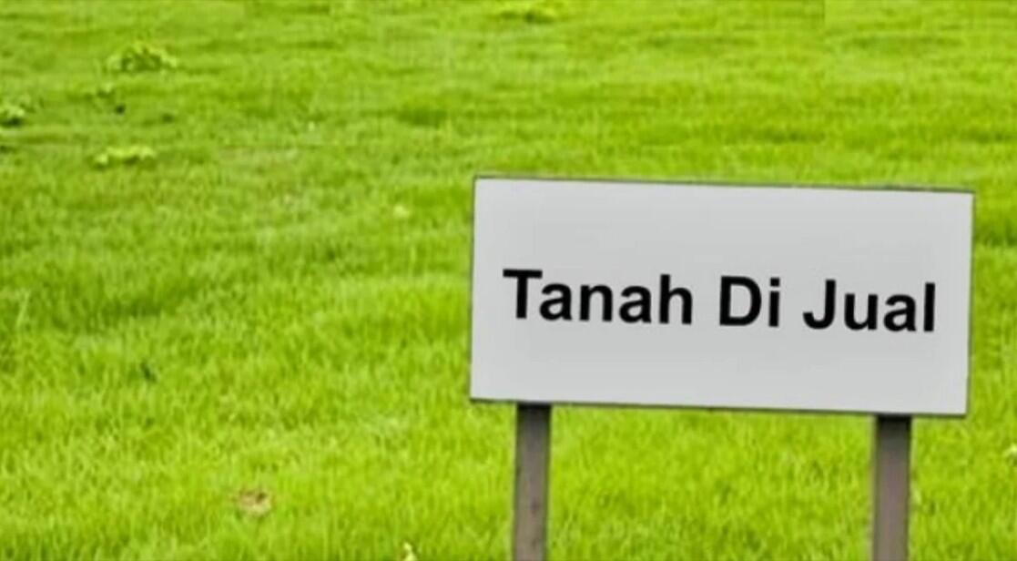 Siap-siap, Harga Tanah di Ibu Kota Baru Sebentar Lagi Naik