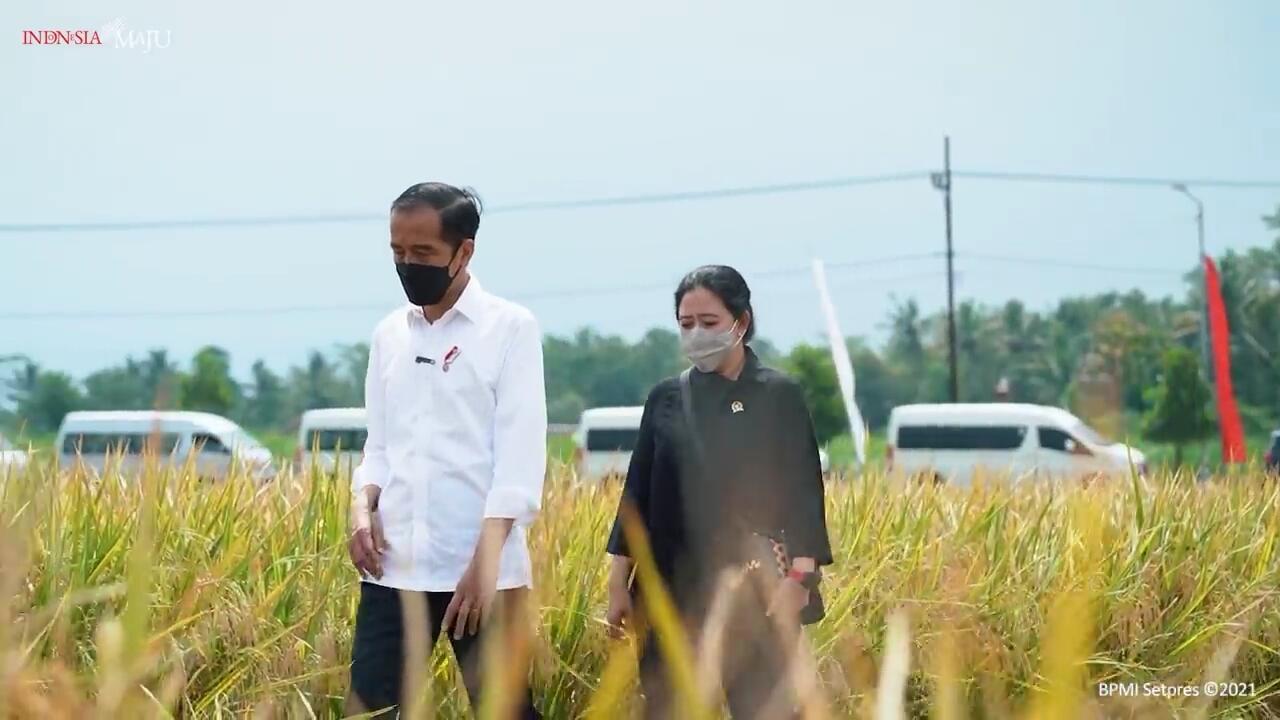 Kurangi Beban Rakyat, Puan Desak Pemerintah Kendalikan Harga Kebutuhan Pokok