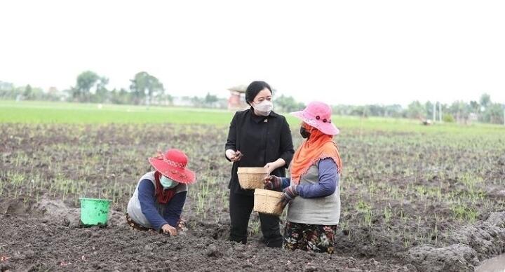 Kurangi Beban Rakyat, Puan Desak Pemerintah Kendalikan Harga Kebutuhan Pokok