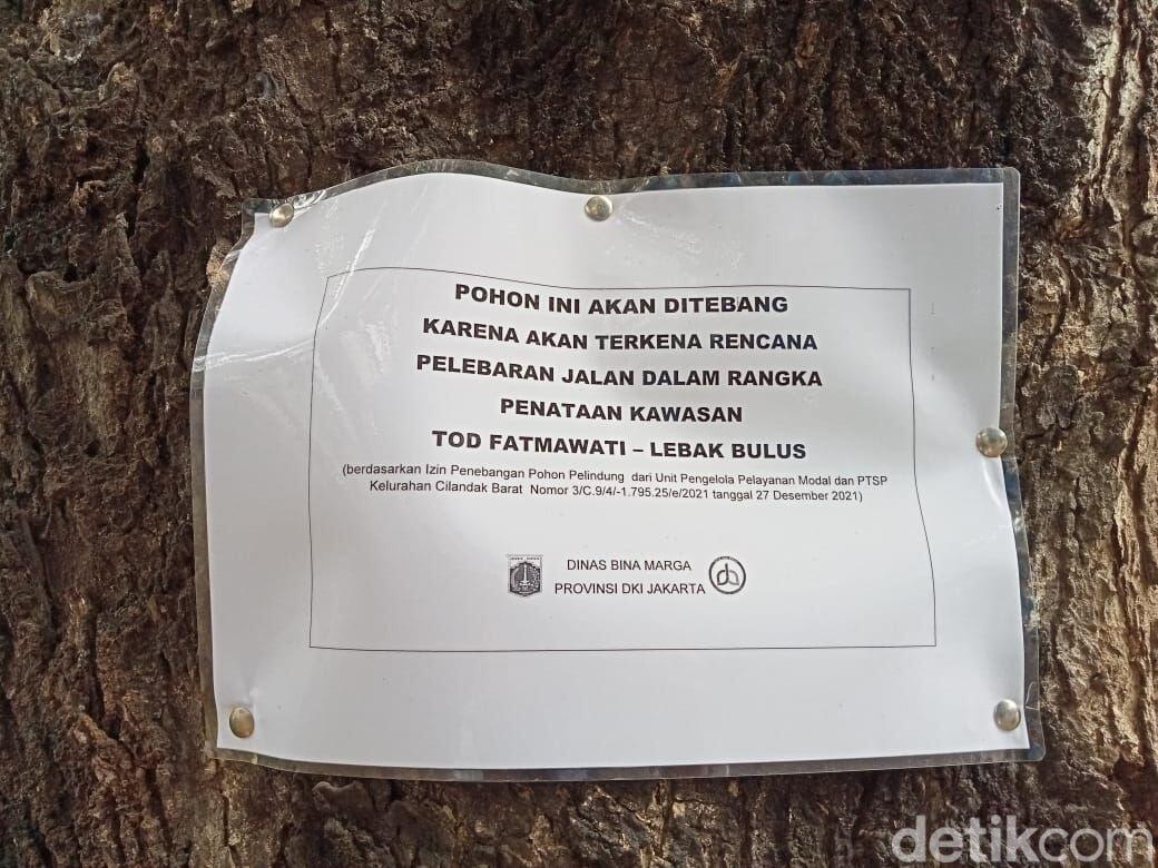 Pohon-pohon Jl Fatmawati Jaksel Ini Bakal Ditebang demi Pelebaran Jalan