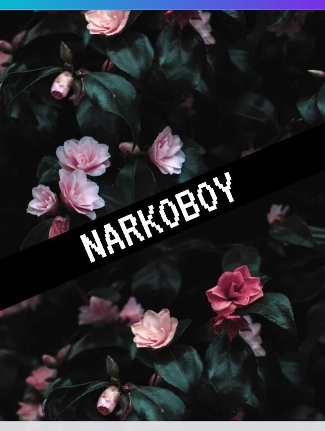 Narkoboy (True Story) 