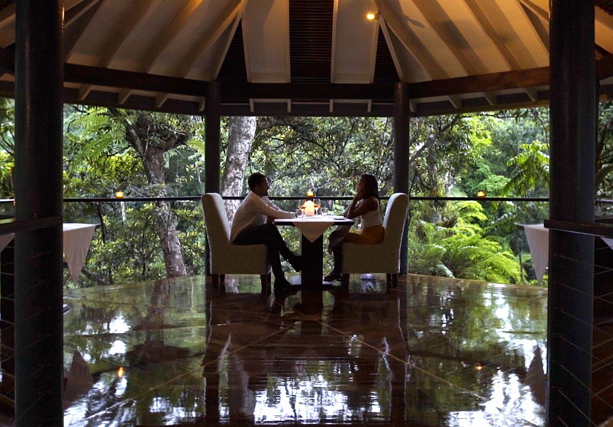 Rekomendasi Buat Kalian Yang Suka Liburan Ke Hutan