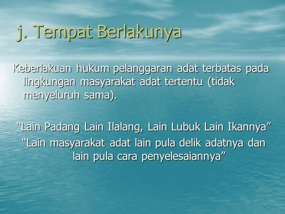 Bela Edy Mulyadi, Tifatul Sembiring: Tak Ada Hinaan, Udah Jangan Baper