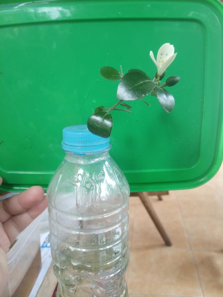 Jangan Remehkan Minum Air Putih!!!