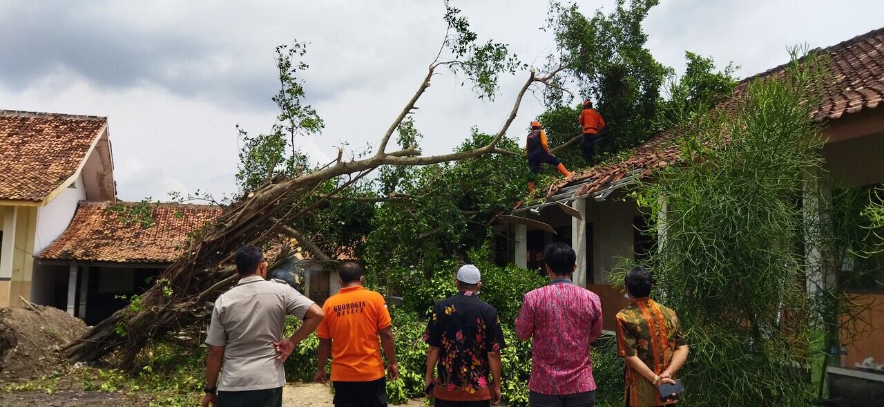 Pohon Tumbang Hancurkan Bangunan SD Grobogan
