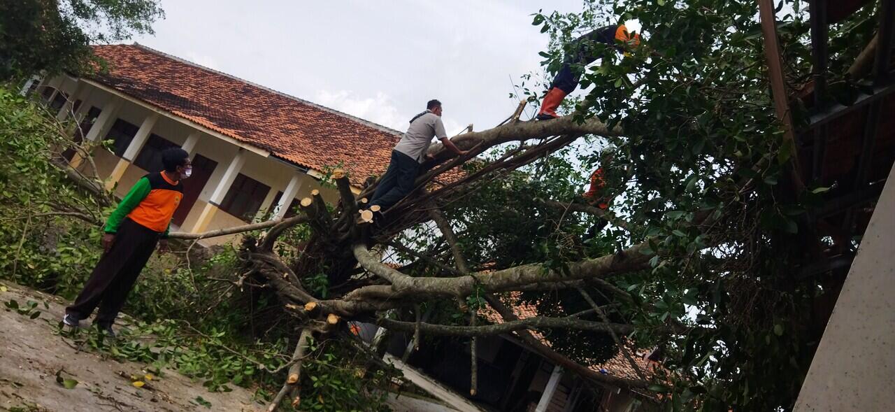 Pohon Tumbang Hancurkan Bangunan SD Grobogan