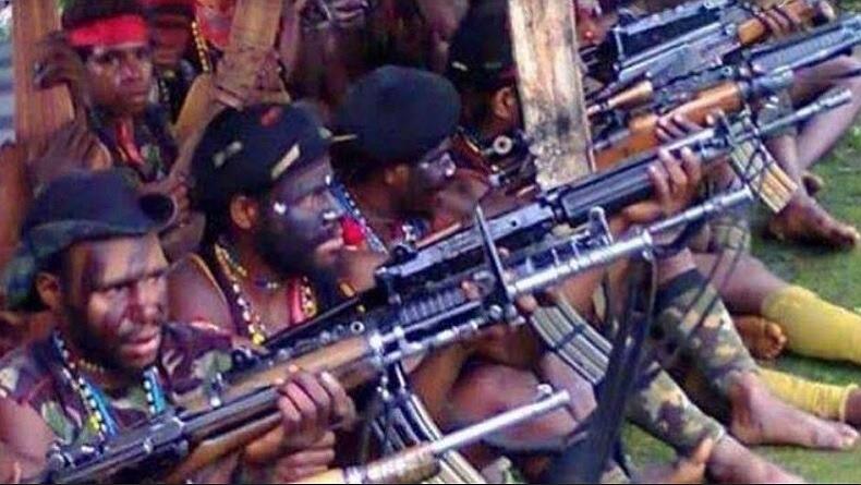 Ratusan Pesantren Disebut Terafiliasi Teroris, MUI Bandingkan dengan KKB di Papua