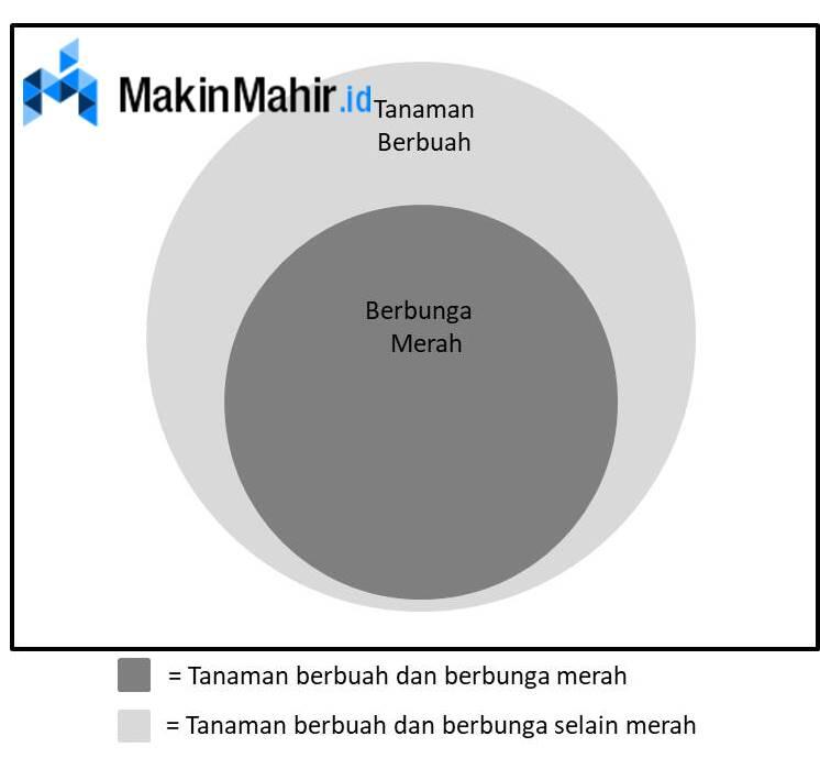 Contoh Soal Psikotes Tes Logika Aritmatika Dan Jawabannya