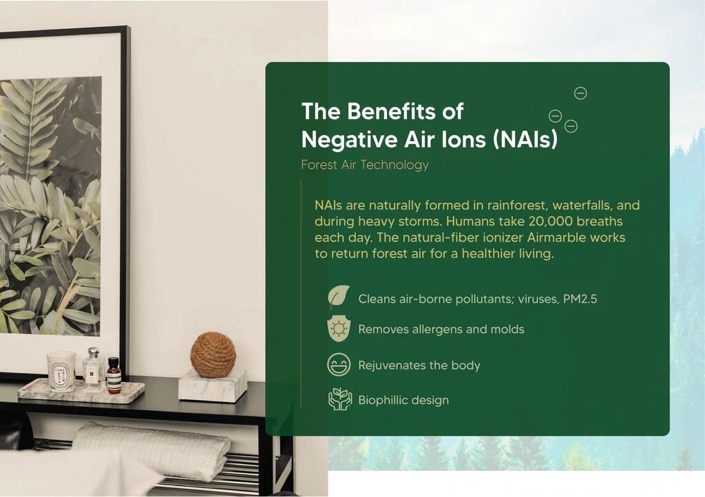 AIR PURIFIER - BARANG MEWAH ATAU KEBUTUHAN